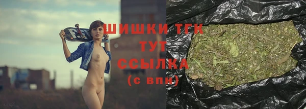 крисы Козельск