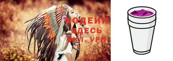 mdpv Кодинск