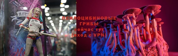 mdpv Кодинск
