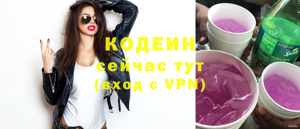 крисы Козельск