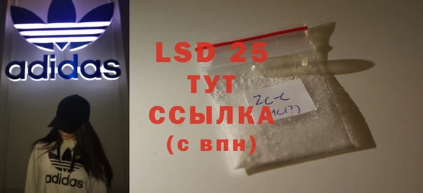 крисы Козельск