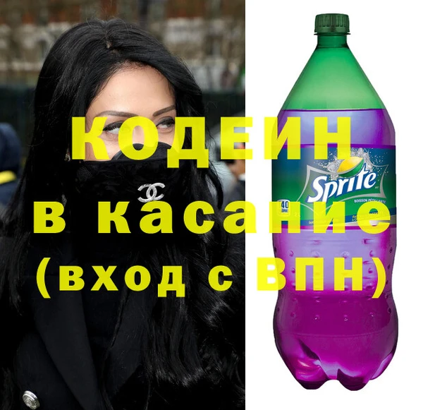 крисы Козельск