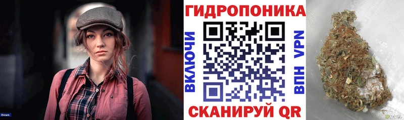 Купить где Жуковка Бошки марихуана марихуана